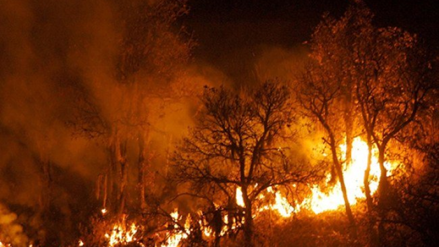 California declara estado emergencia por incendio Holy