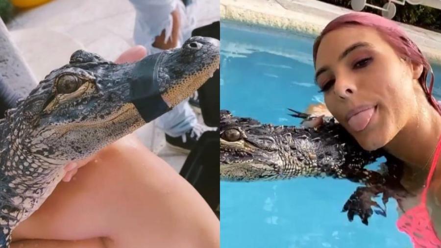 Acusan a Lele Pons de maltrato animal