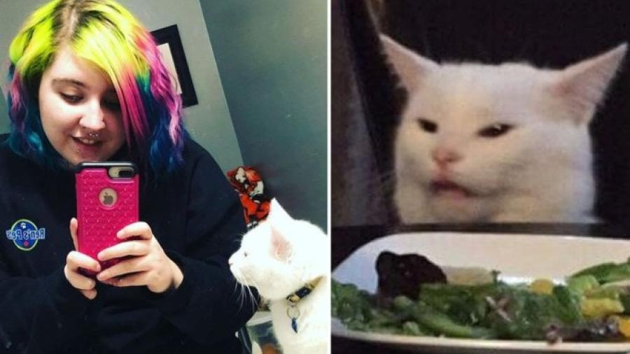 Conoce a Smudge, el famoso gato de los memes