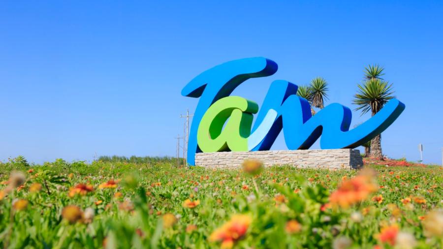 Obtiene campaña "Tam" premios en concurso latinoamericano de publicidad