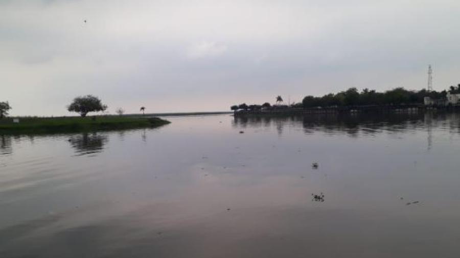 Ganaderos y agricultores, los más beneficiados con las lluvias en la zona Sur