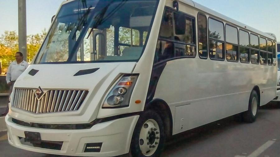 Transporte gratuito para asistir al encendido del pino navideño