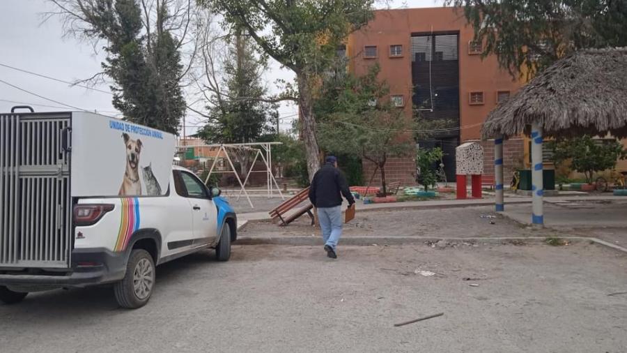 Poco personal para atender quejas de maltrato aninal