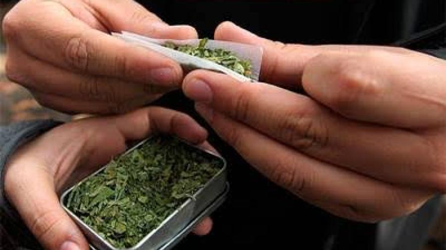 Movimiento Cannábico propone zonas de tolerancia de consumo de marihuana