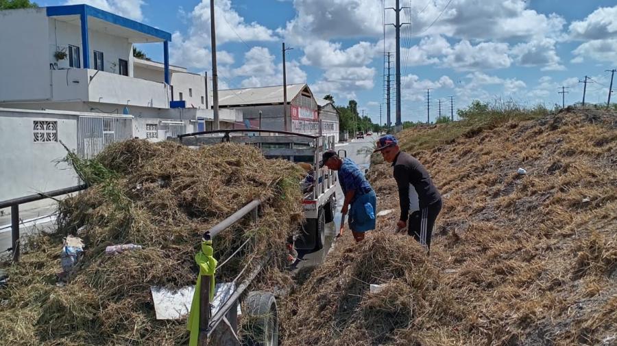 Actividades de mantenimiento del Gobierno Municipal de Reynosa 