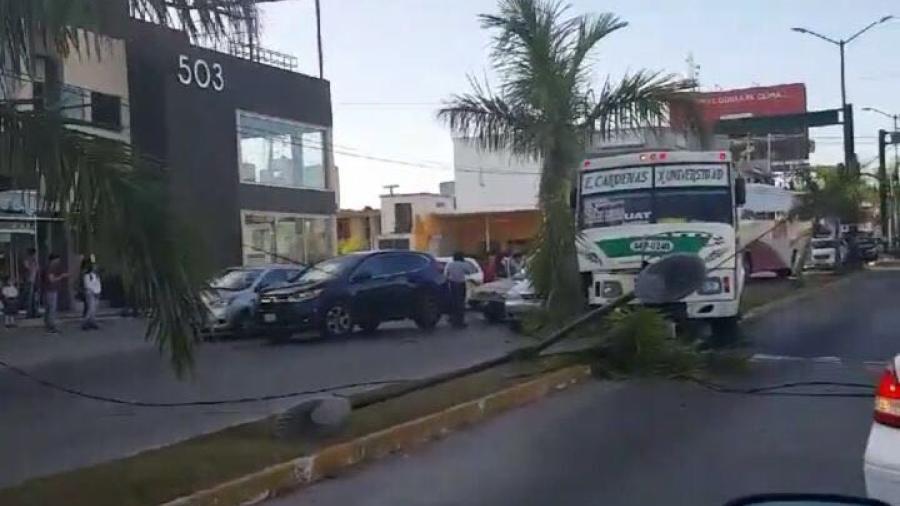 Microb&uacute;s se queda sin frenos e impacta 4 autom&oacute;viles