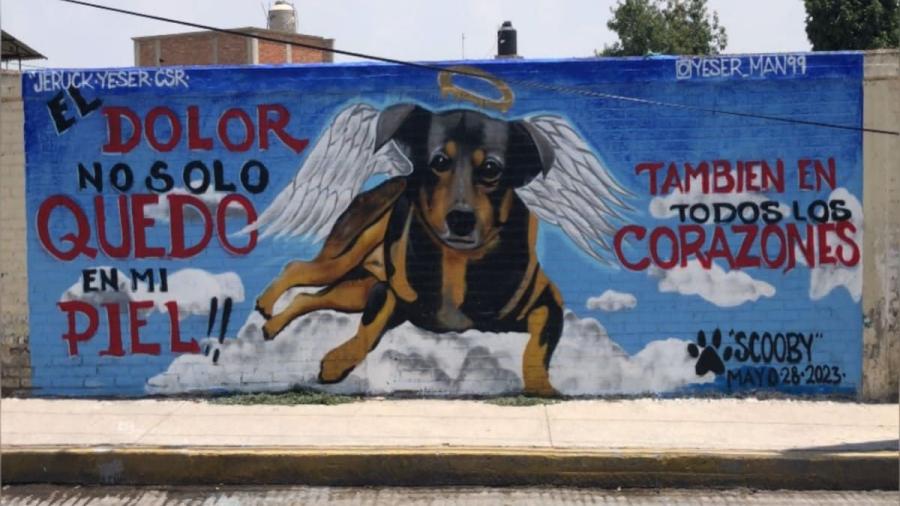 Dan 5 años de prisión a sujeto que arrojó a perrito a cazo hirviendo 