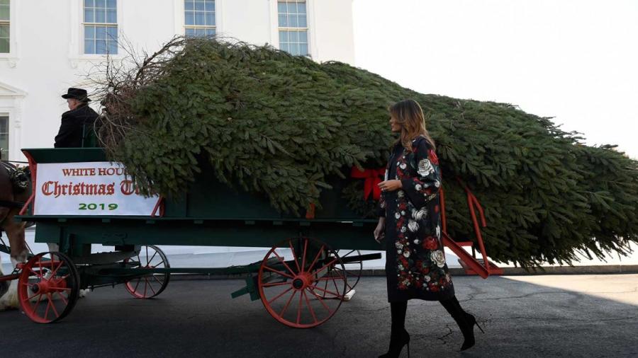 Reciben en la Casa Blanca el tradicional árbol navideño