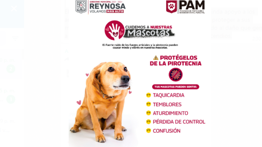 Uso de pirotecnia afecta a mascotas: Gobierno de Reynosa 