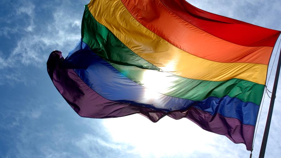 Colectivos acusan a candidatos de mentir sobre su identidad sexual para registros como representantes de la comunidad LGBT+