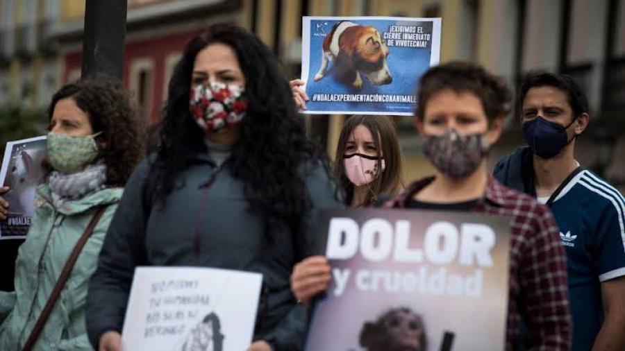 En España, protestan por pirotecnia que daña a los animales