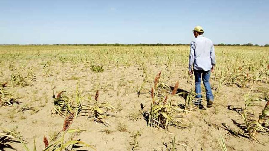 Movilizaran agua para sectores críticos