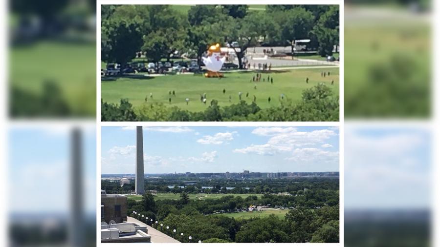 "Pollo inflable gigante" aparece en la Casa Blanca