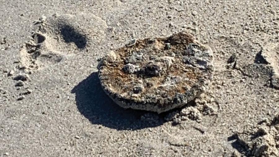 Encuentran mina terrestre de la Segunda Guerra Mundial en Florida