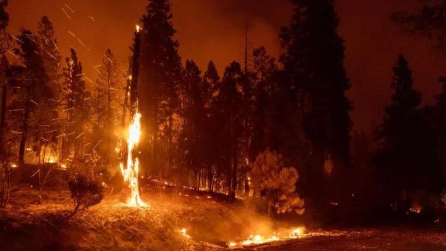 Incendio forestal se propaga por California en medio de evacuaciones