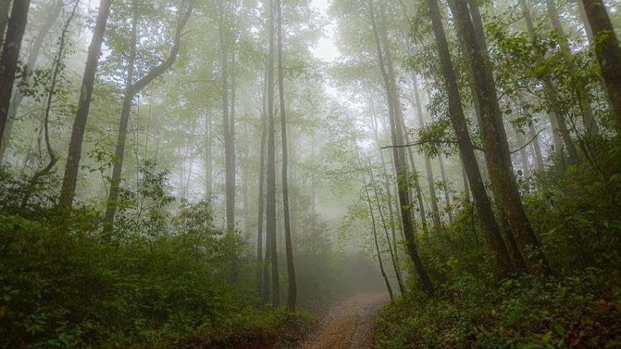 Tamaulipas, complemento de la aventura mundialista del fútbol