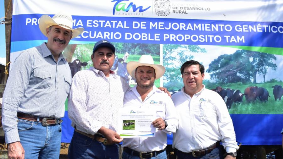 Con vaquillas de doble propósito, Gobierno de Tamaulipas detona producción de leche