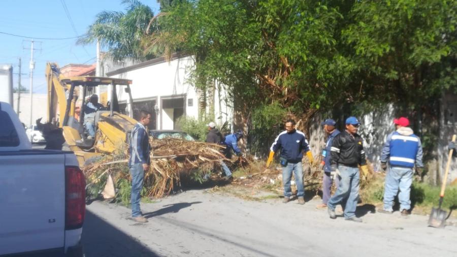 Árboles caídos, un incendio y ligeros acumulamientos de agua, deja frente frío