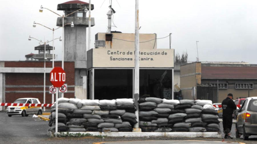 Organizan bodas al interior del CEDES