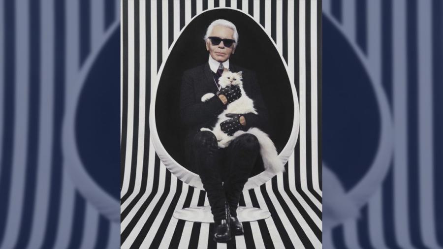 Choupette, la gata que heredará la fortuna de Karl Lagerfeld