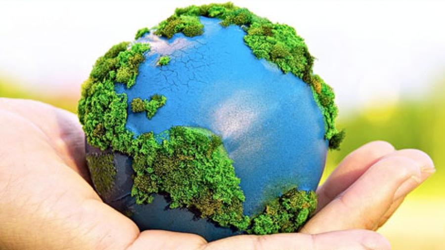 Hoy se celebra el “Día Mundial del Medio Ambiente”