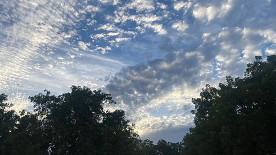 Conozca el pronóstico del clima en Tamaulipas para este sábado