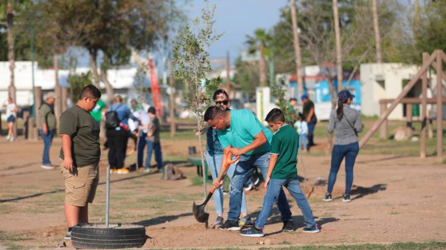 Gobierno Municipal y CFE siembran vida en el parque Mendoza con campaña de reforestación 