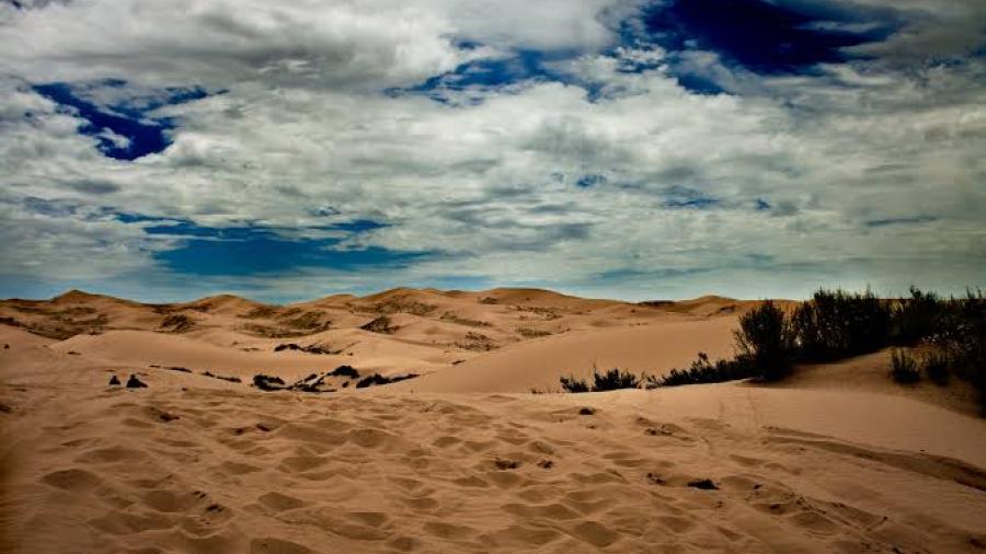 Rescatan migrantes en desierto de Chihuahua