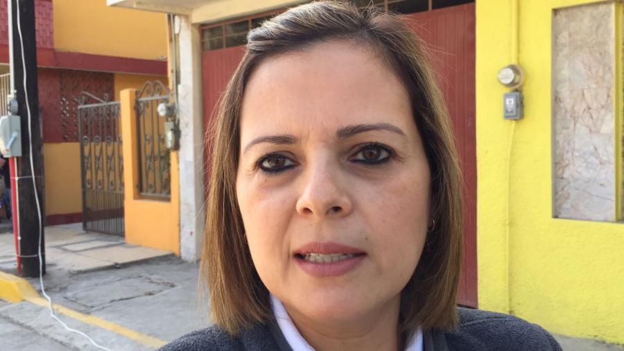 Arrancar&aacute;n el a&ntilde;o dando empleo temporal en Tampico 