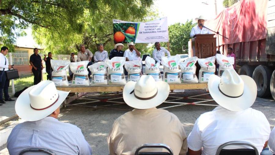Tamaulipas destaca en producción de naranja