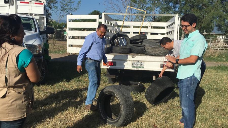 Recolectan cacharros para combatir Zika y dengue