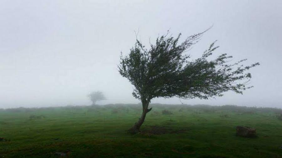 Fuertes vientos provocan apagones en El Valle