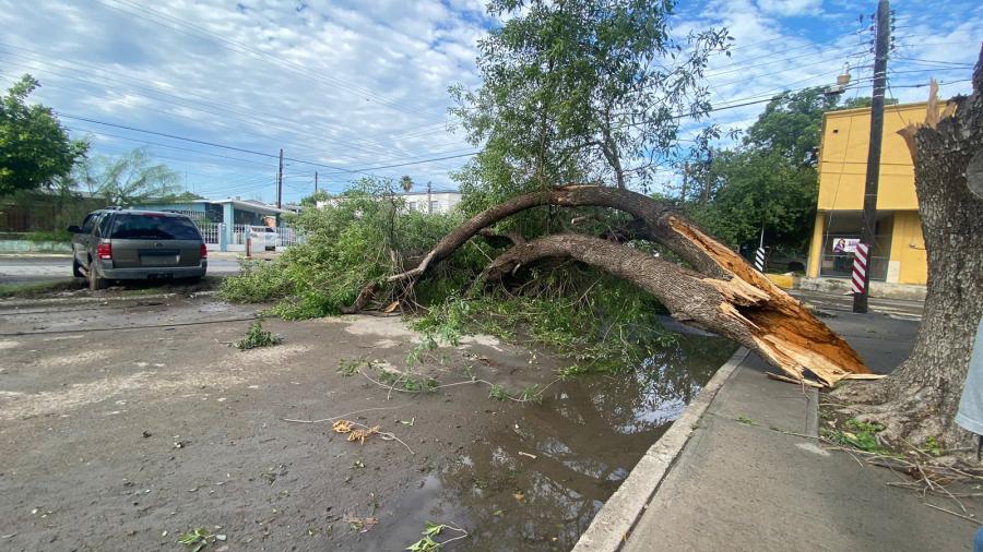 Tormenta deja afectaciones en Nuevo Laredo