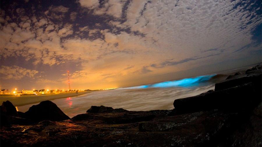 Las playas de San Diego se visten de azul-neón