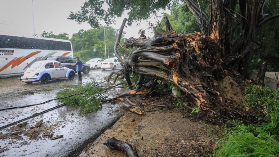 Deja Nora severa afectaciones en el occidente del país 