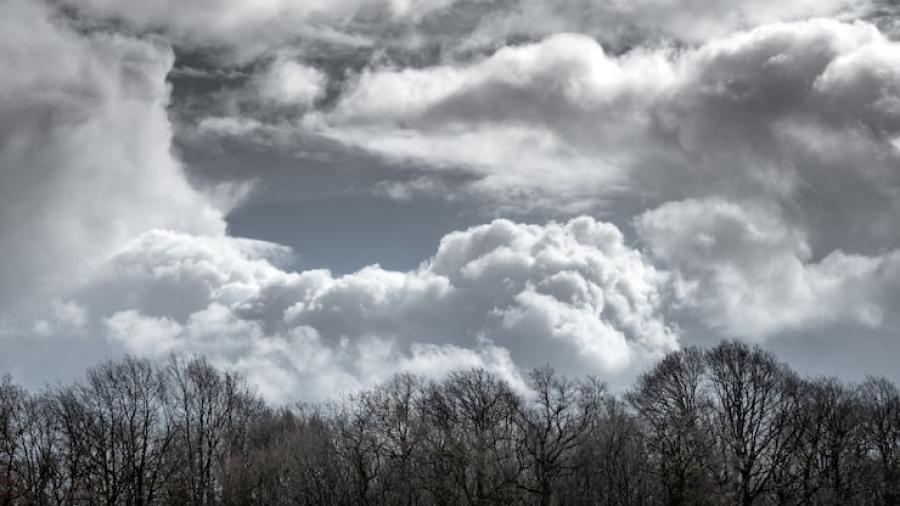 Así estará el clima hoy miércoles 5 de noviembre en Tamaulipas