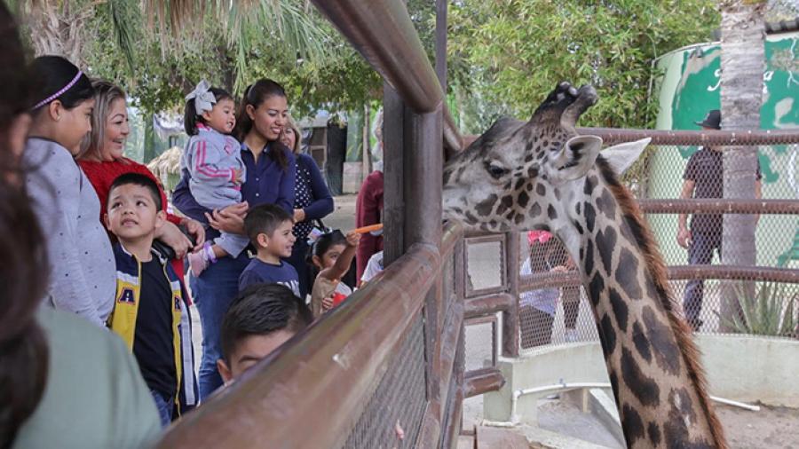 Nuevo Laredo celebra San Valentín con Zoológico y Acuario gratis