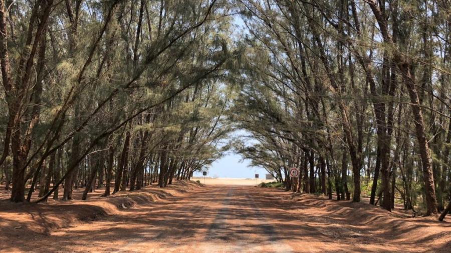 Continúa cerrada playa Tesoro como medida preventiva ante el COVID 19