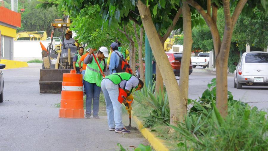 Llevan a cabo trabajos de limpieza