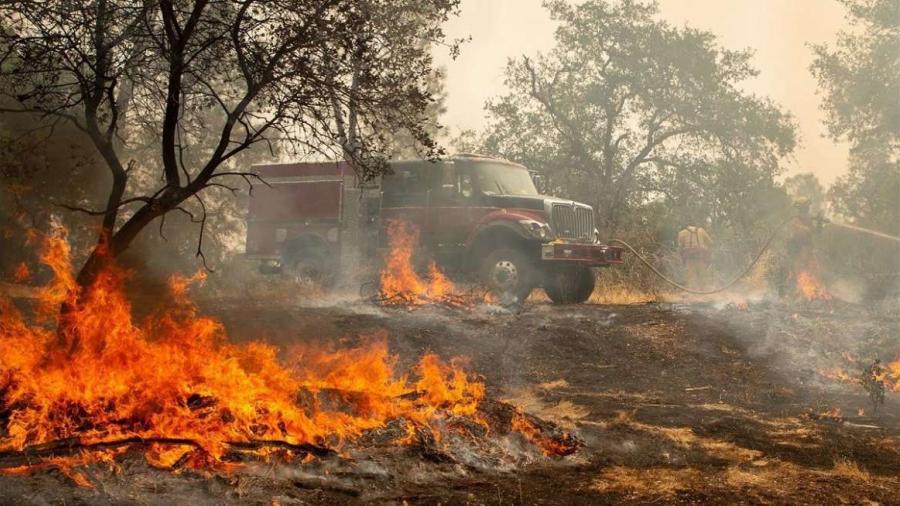 Aumenta a 84 el número muertos por incendios en California