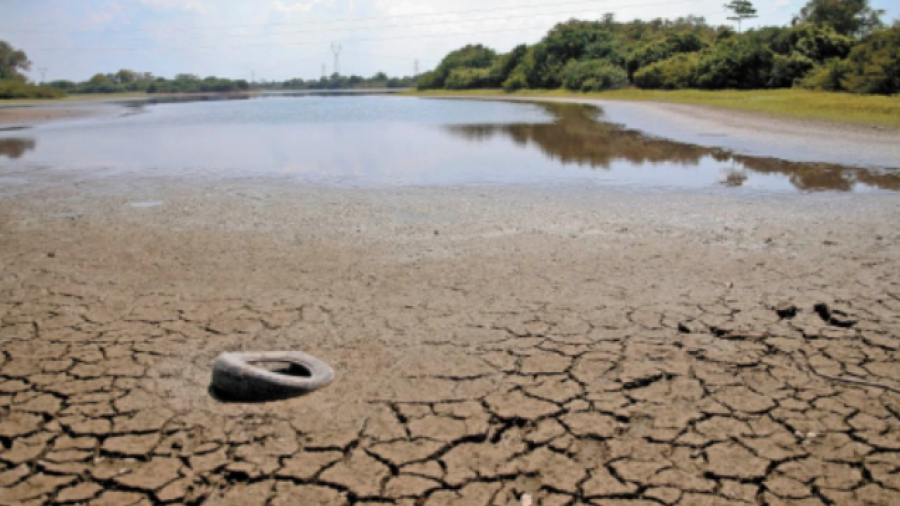 Advierte Conagua que 46% de México está siendo afectado por sequías; noreste y norte, las zonas más graves
