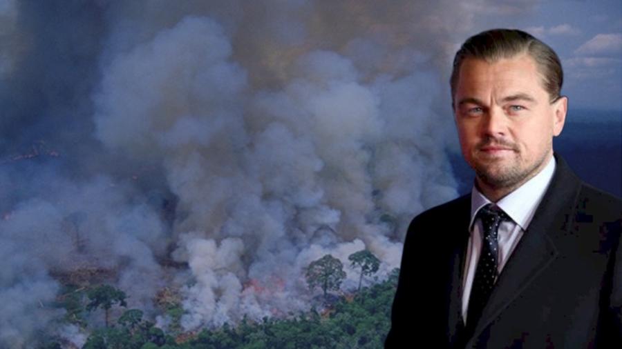 Fundación de Leonardo DiCaprio dona 5 mdd para salvar al Amazonas