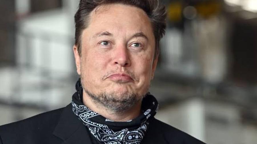 Elon Musk es reconocido como el mayor accionista de Twitter