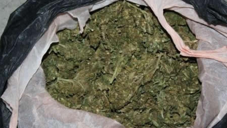 Aseguran 50 kilogramos de Marihuana