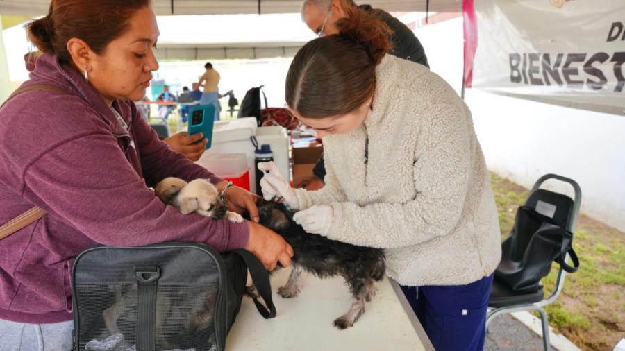 Programa ‘Presidencia Cerquita de Ti’ fortalece la cercanía del gobierno con vecinos de Buenavista