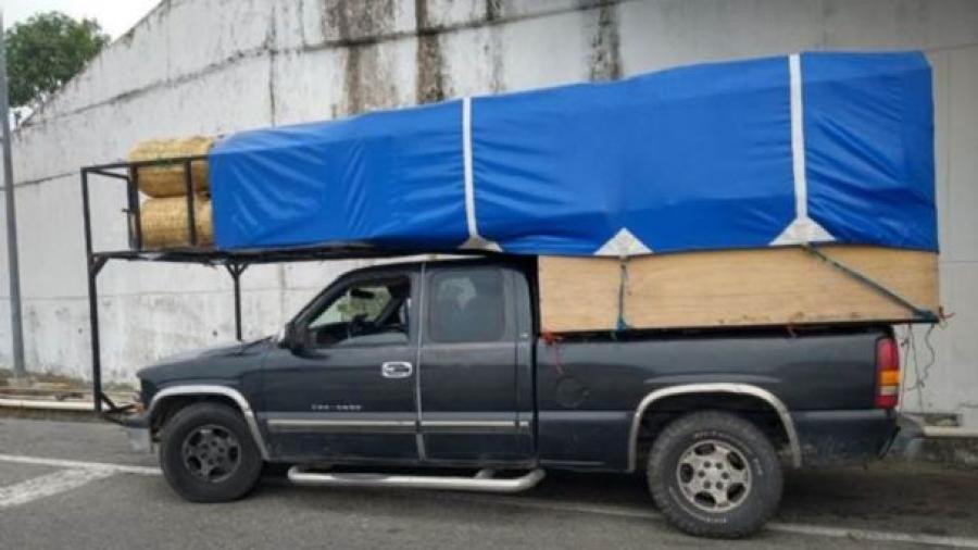 Aseguran a 12 migrantes en Veracruz