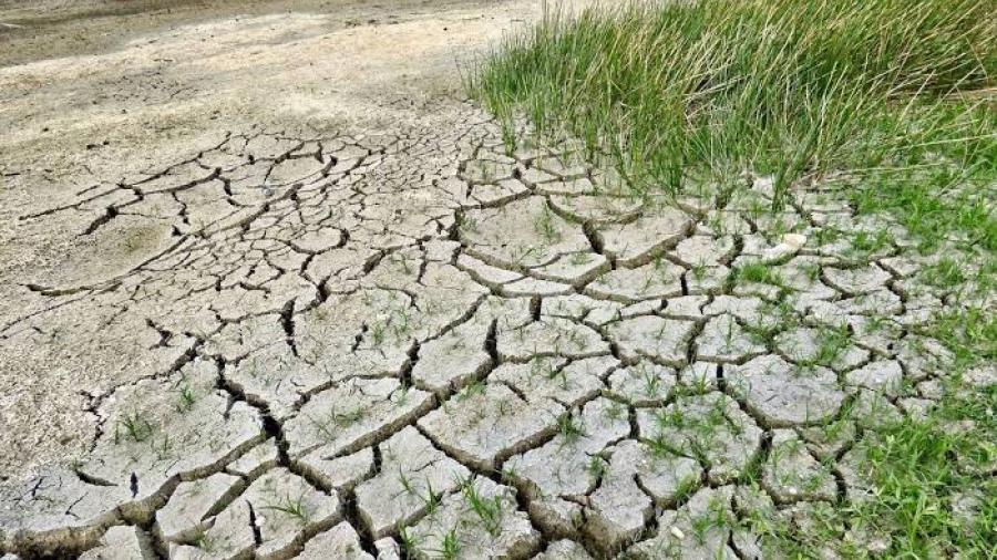 40 municipios de Tamaulipas presentan algún tipo de sequía