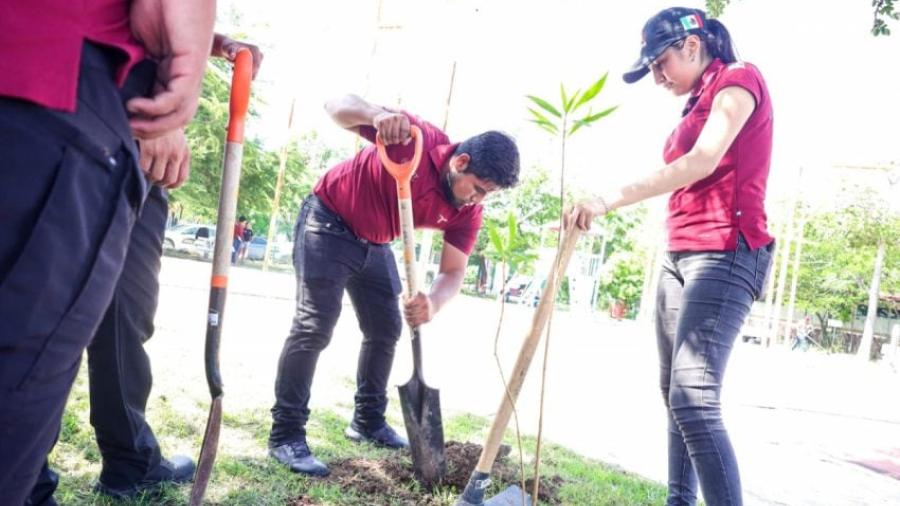 Se suma INJUVE Tamaulipas a las Jornadas Nacionales por la Paz con reforestación en Ciudad Victoria