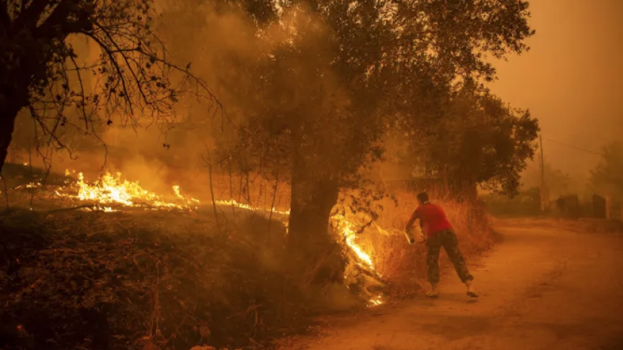 Asciende a 65 la cifra de muertos en los incendios en el norte de Argelia