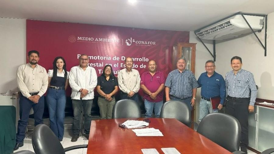 Presentan avances del programa operativo 2025 en reunión de sanidad forestal